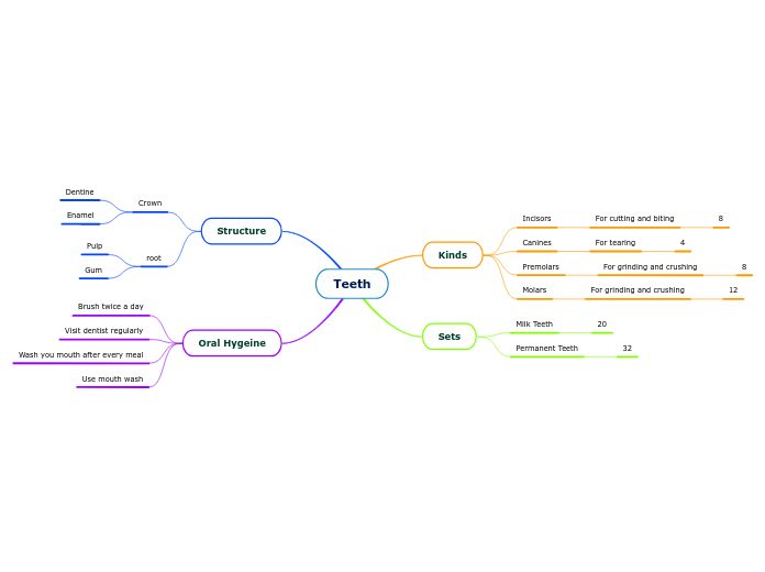 Teeth mind map